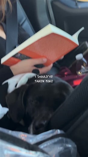 Alexandra the Average on Instagram: "Just to be VERY VERY clear, my baby is still alive. I just love bad bunny and her"