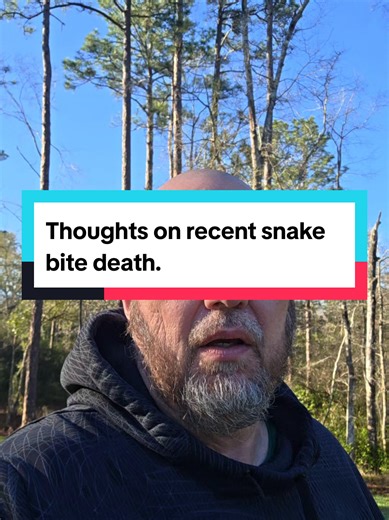 Understanding Snake Bite Risks and Recovery