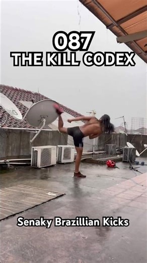 Level 87 The kill codex Seanky brazilian kick