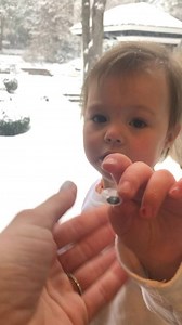 62K views · 445 reactions | And his eye falls off | Meghan King | Facebook