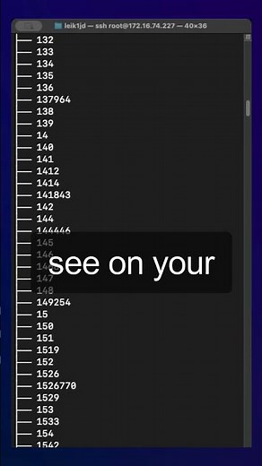 The secrets hiding in the /proc directory