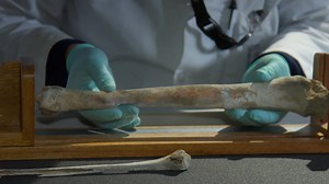 NOVA - Identifying Lost Crew with Forensics and DNA Analysis - Twin Cities PBS