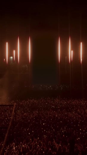 88K views · 2.1K reactions | Weeks over time to party! #rave #partytime #cat #animation #anyma | Noodle and Bun | Facebook