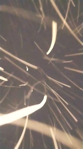 @ScottFrenzel he won't comment