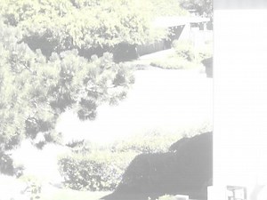 Photos look normal in preview: Come out unusable!