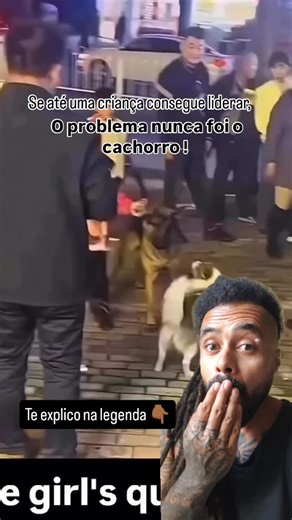 Doug | adestrador comportamental | “Se até uma criança consegue liderar, o problema não é o cachorro.” Liderança não tem a ver com força. Tem a ver com clareza, postura e... | Instagram