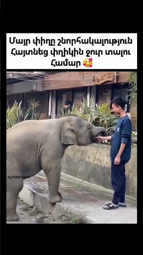 Հայկական ամենահետաքրքիր տելեգրամյան ալիքները⬇️