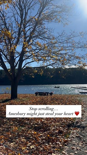 Here’s why I love Amesbury: 🌳 Plenty of green space, walking trails parks ☕️ The cutest downtown with boutique shops restaurants. My faves are @waterstreetcafeamesbury @leeandcostore @blue_moon_kitchen_and_bar 💧 Water everywhere: Merrimack River, Lake Gardner Lake Attitash 🏫 New Elementary School Campus 🚗 Easy access to highways Basically… Amesbury just gets it. Love what you see? Let’s make Amesbury home. 🏡 . . . #ericapuorro #amesburyrealtor #lamacchiarealty #amesburyrealestate #amesburym