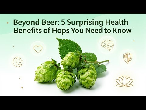 The Health Benefits of Hops Beyond Beer