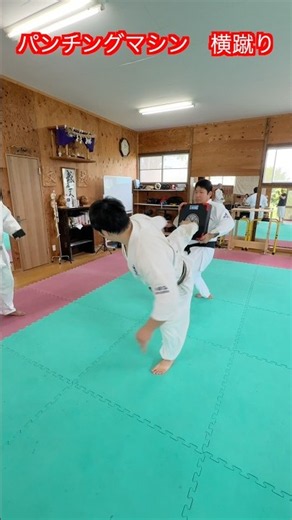 【武道・武術】パンチングマシンを横蹴りで打ち込んでみた！YASUと坂本と豆太郎さんが挑戦！！#aikido ＃karate #martial #武道 #空手＃筋トレ