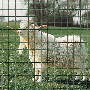 [Hot Item] Stainless Steel Welded Wire Metal Mesh Giving Better Corrosion Resistance