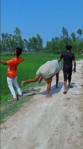 How does a cow kick?