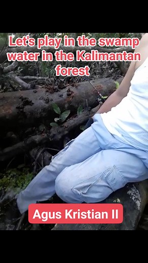4.7K views · 65 reactions | Let's play in the swamp water in the Kalimantan forest #reel #alamliar #hutankalimantan #rawakalumantan #agusaguskristianII | Agus Agus Kristian II | Facebook