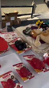 We hope to see you soon at Animal House! | Cayman Islands Humane Society