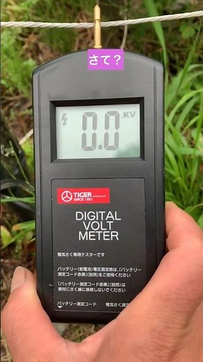 田んぼを守れるか！？電気柵の電圧チェック #イノシシ対策 #猪対策 #獣害対策 #shorts