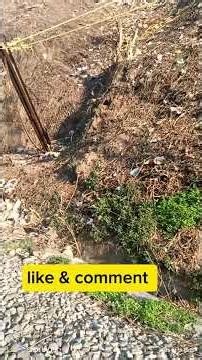 mast setup in Progress | #Psengisphereandtravelling