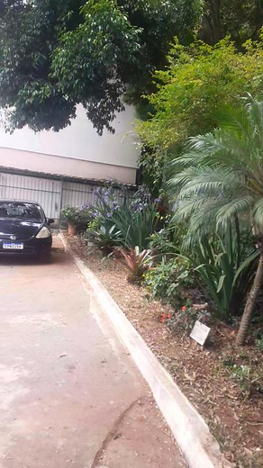 Whpp 11 94115 4672 SP Whpp 21 985223075 RJ Manutenção plantas Limpeza de Jardinagem CRAMAS E más Aulas tênis Parques academia Clubes só marcar horário q batemos bolinha 🎾🎾🎾 Benção total | Helton Mata