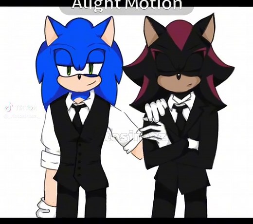 Exploring Sonic and Shadow's Dynamic Duo: Sonadow
