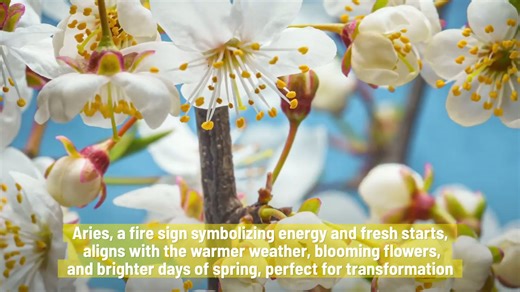 Why Your New Years Resolutions May Stick Better In Spring