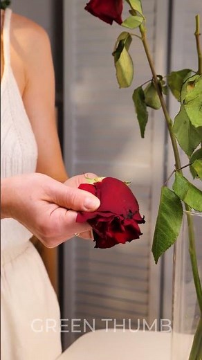 Flower care hacks that won’t cost much 🌸👌