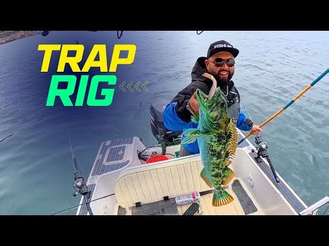 Live Bait Drifting for Halibut and Lingcod Gameplan falls apart