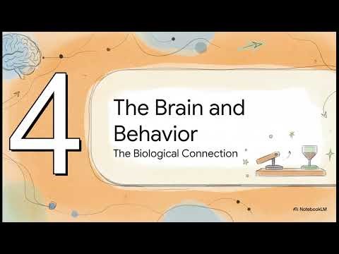 The Psychology of Learning | Human Psychology