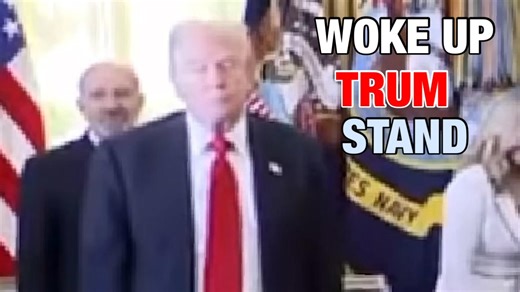 4.2K views · 100 reactions | @everyone @highlight hello DX all my actor and director made so on November 6th 2025 White House president trump is sleep while woke up stand look down | Tiger KG | Facebook