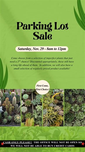 Florida Cactus on Instagram: "Remember this morning is our Parking Lot Sale!! 🌄🌵🍂🌲 #parkinglotsale #floridacactusinc #holidayshopping #cactusofinstagram"