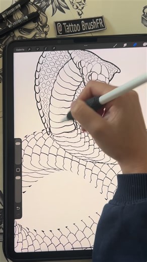 Anushka on Instagram: "☝️I’ve created a new snake pack Brushes for tattoo artists that includes many guidelines to quickly create snake designs. Drawing snakes can take hours, but with these guidelines you save time on accuracy and can fully focus on the details. You can get them in my bio. ✅ They are available on Procreate #snaketattoo #procreatebrushes #tattooideas #procreatestamp #flashtattoo #procreate #tattootutorial"