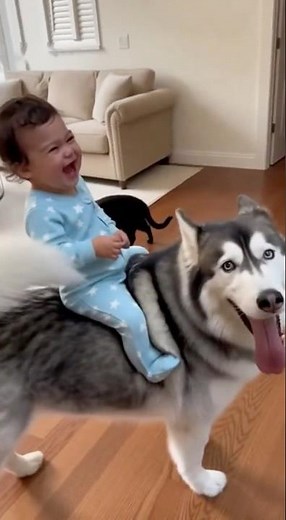 Baby rides a dog! This Baby Can’t Stop Laughing While Riding a Dog! 🐾