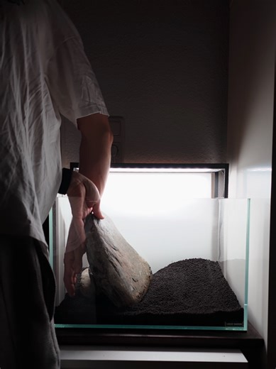 New Setup for 45P Aquarium: Fresh Start Sneak Peek