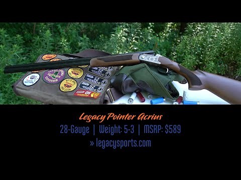 Legacy Pointer Acrius | 2020 Shotgun Showcase