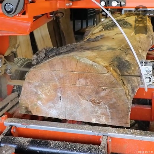 54K views · 682 reactions | We Proved The BIG Sawmills Wrong With This LOG | Out of the Woods Forestry | Facebook