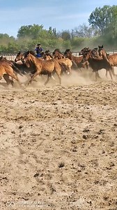 Csaba Bugyi on Reels