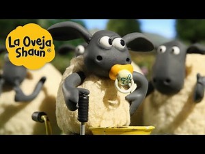La Oveja Shaun 🐑 Timmy, el gerente 🐑 Dibujos animados para niños
