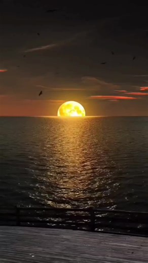 Caleb Leblanc (@caleb.leblanc)’s videos with Sa Fini La - BIG DEN MUSIC