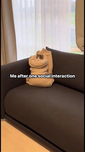 the life of an introverted person | dancatdad