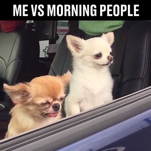 TAG somebody who isn't a morning person 😂😴 | LADbible