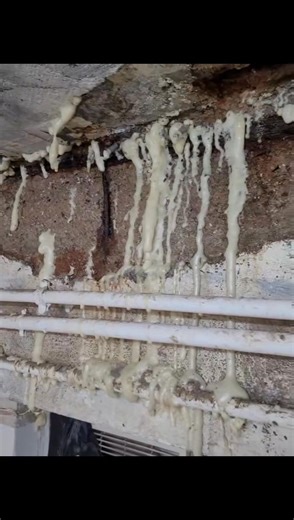 #Pu_injection #Spalling ———————————————————————————— 處理石屎剝落伴隨滲水，且樓上不合作的情況相當困擾，需循序漸進：先與管理處或法團協調，若無效則向政府（如食環署「滲水辦」）投訴，透過有關部門調查確定源頭；同時，可聘請專業人士進行勘察取證，姑且排除了水喉滲水後，可￼採取打防水針注入防水劑方法解決燃眉之急，繼而向有關人士法團及單位追討及再作考慮是否進行修補。 ———————————————————————————— #浩峯專業防漏 #Waterproofing #防水 #防漏 #injection #Concrete_Repair | 浩峯專業防漏