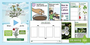 Top 10 Growing Plants Activity Pack