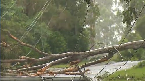 Extreme coastal erosion on the Gold Coast