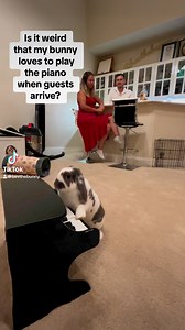 Just your local bar pianist. 🐰Bini Jr. is so special 😍 | Bini the Bunny