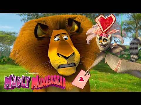 Madly Madagascar ❤️ | Valentines Day Special | DreamWorks Madagascar