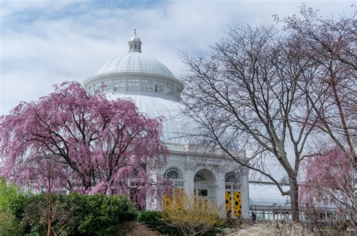 Mini Print Vending Machine makes NYC comeback at New York Botanical Garden