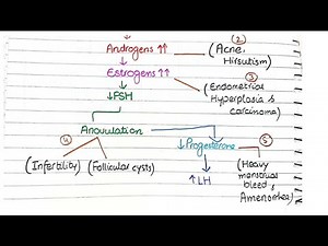 Polycystic Ovarian Syndrome Pathology | PCOS
