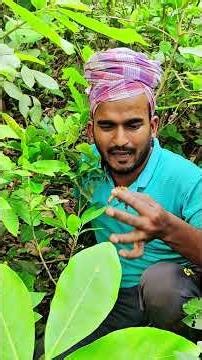 বুঝি না খেলে আরাম নেই 🤣