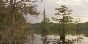 HEART OF LOUISIANA: Chicot State Park