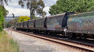 2182s, the loaded Tailem Bend grain train, heading down hill through Millswood | Kane’s Trains