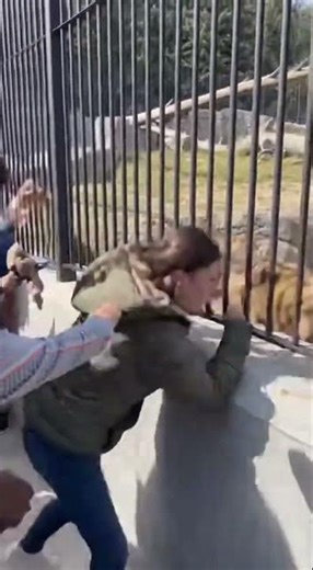 Grizzly CHARGES After Prank Gone Wrong 😱🔥 #viral #shorts