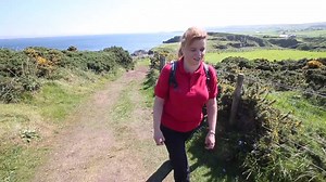 3.5K views · 107 reactions | The Giant’s Causeway Clifftop Experience...